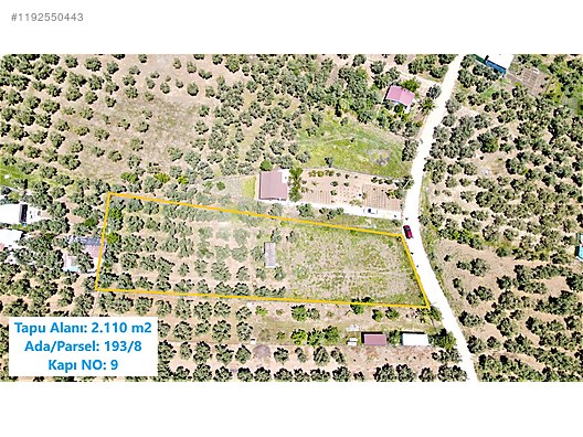 BURSA MUDANYA ÇEPNİ KÖYÜNDE 2.110 M² ZEYTİNLİK SATILIKTIR. - BURSA MUDANYA fotoğraf 3