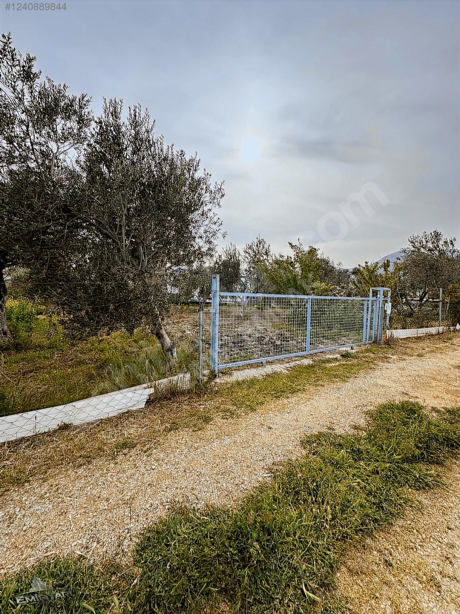 EMİR EMLAK GAYRİMENKUL DEN SATILIK HOBİ BAHÇESİ - İZMİR KEMALPAŞA fotoğraf 5