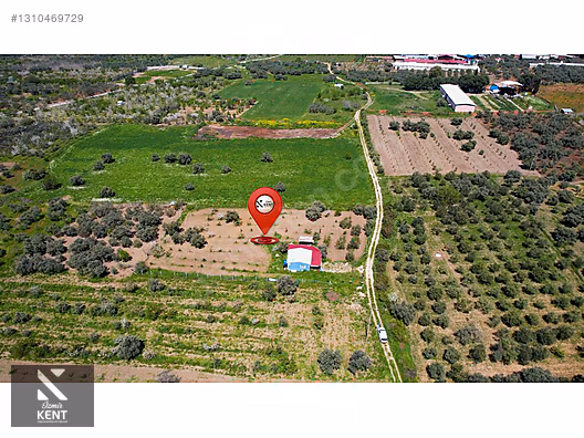 Kemalpaşa Halilbeylide Satılık 3000 m2 Bahçe 40 m2 Ev - İZMİR KEMALPAŞA fotoğraf 23