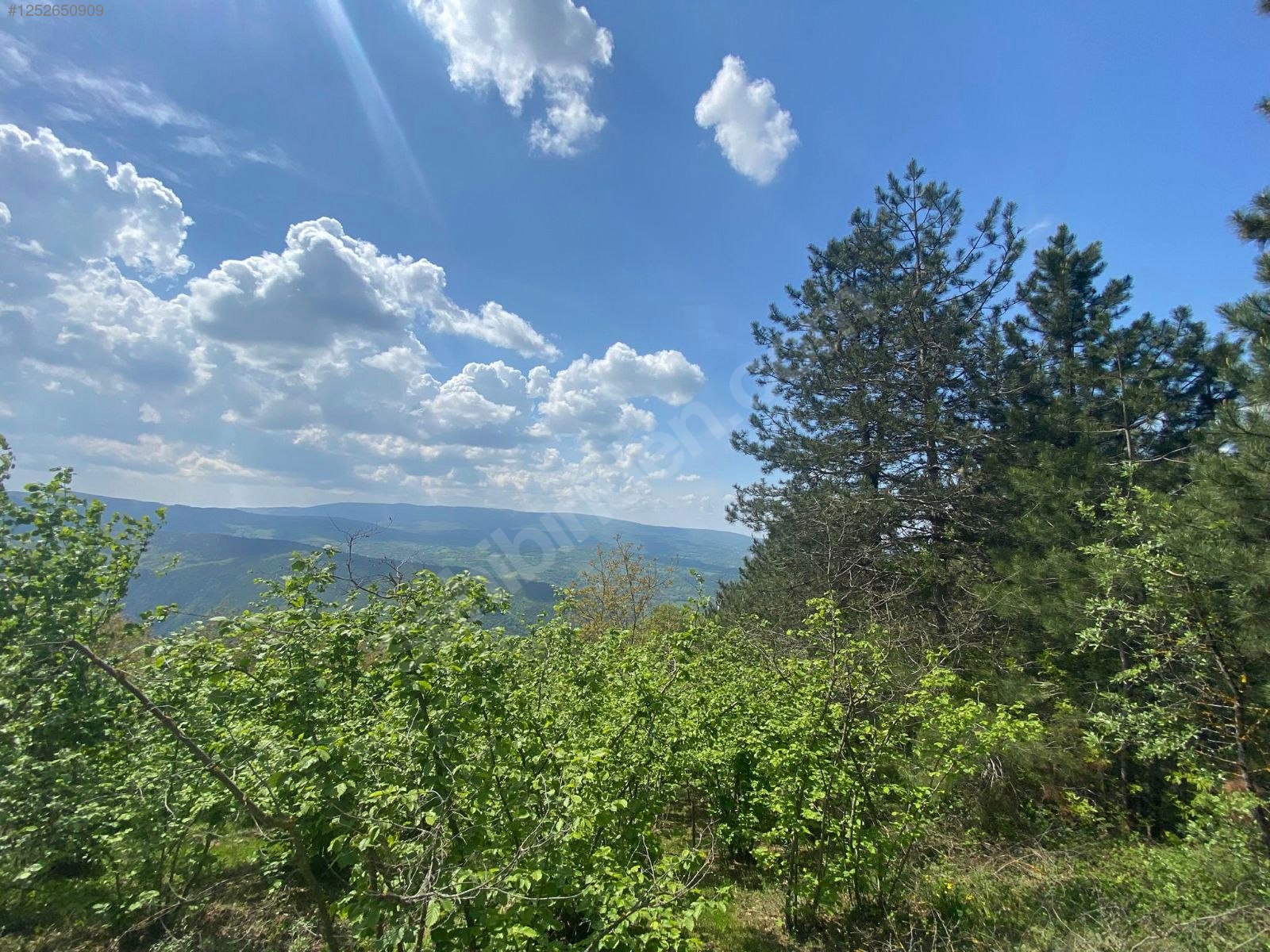 BURSA M.KEMALPAŞA KURŞUNLU  7.300 M² TARLA SATILIKTIR. - BURSA MUSTAFAKEMALPAŞA fotoğraf 18