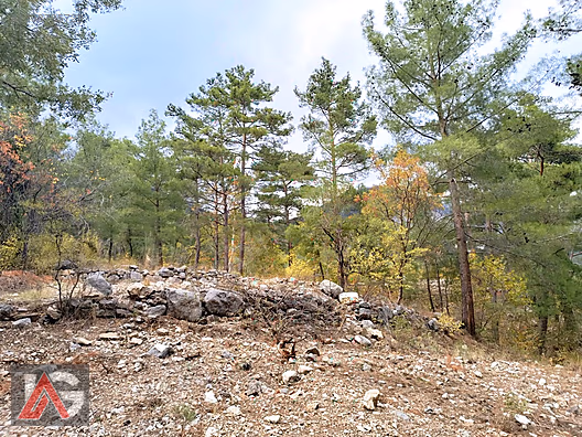 !!! FIRSAT TEKLİF !!! KARACAÖREN MAH. 564m2 ARAZİ UYGUN FİYAT !! - ANTALYA KUMLUCA fotoğraf 11