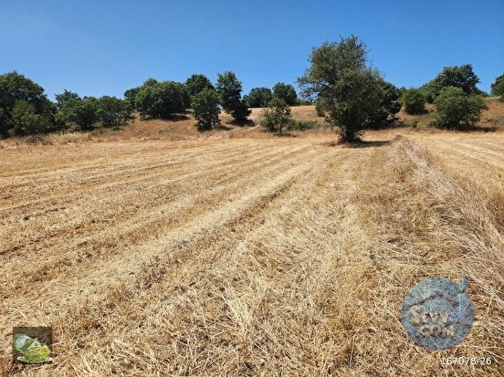 🚨 DURSUNBEY'DE 3.253 M² DOĞA MANZARALI HARİKA TARLA 🚨 - BALIKESİR DURSUNBEY fotoğraf 15