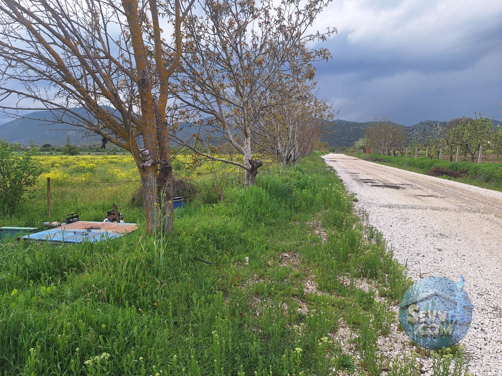 ASYA EMLAKTAN BURDUR AĞLASUN HİSARKÖY DE SATILIK FIRSAT TARLA - Burdur Ağlasun fotoğraf 12