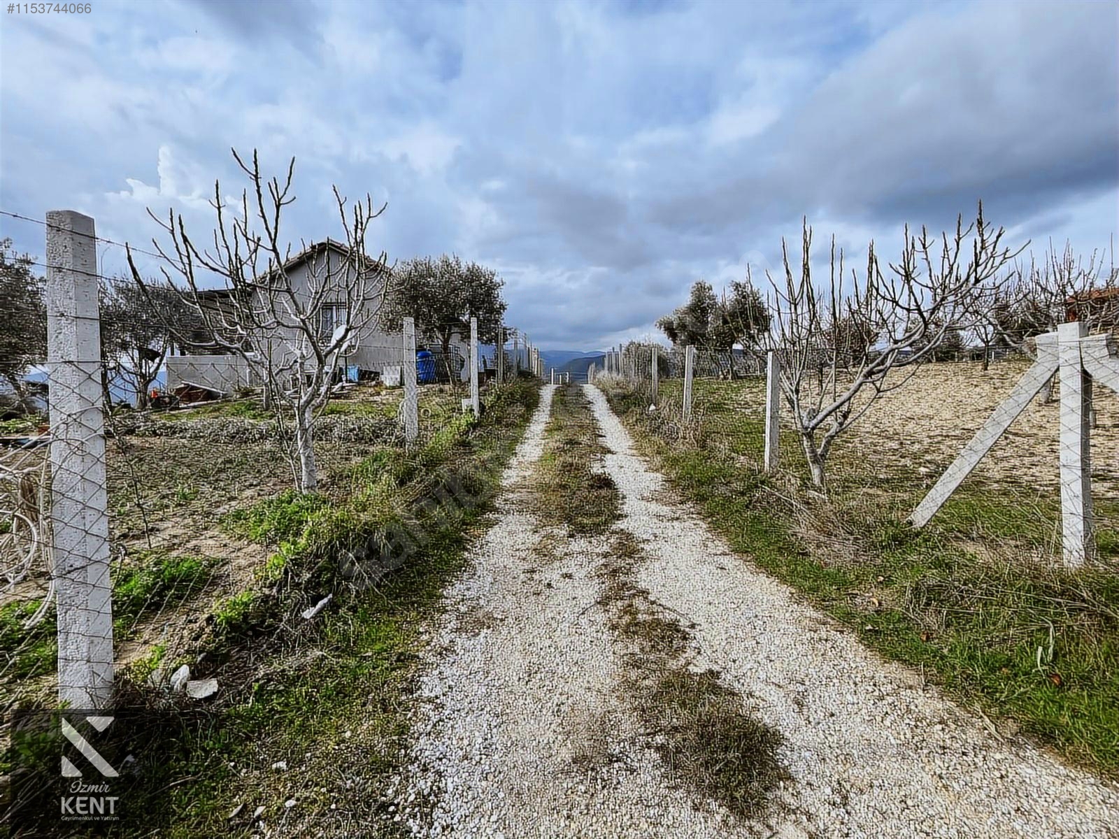 Kemalpaşa Gökyaka Satılık 2700 m2 Bahçe - İZMİR KEMALPAŞA fotoğraf 24