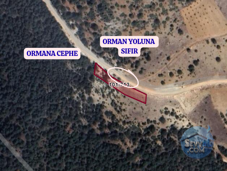 BİLECİK GÖLPAZARI BÜYÜKBELEN  KÖYÜNDE  815 M²  TARLA SATILIKTIR - BİLECİK GÖLPAZARI fotoğraf 3