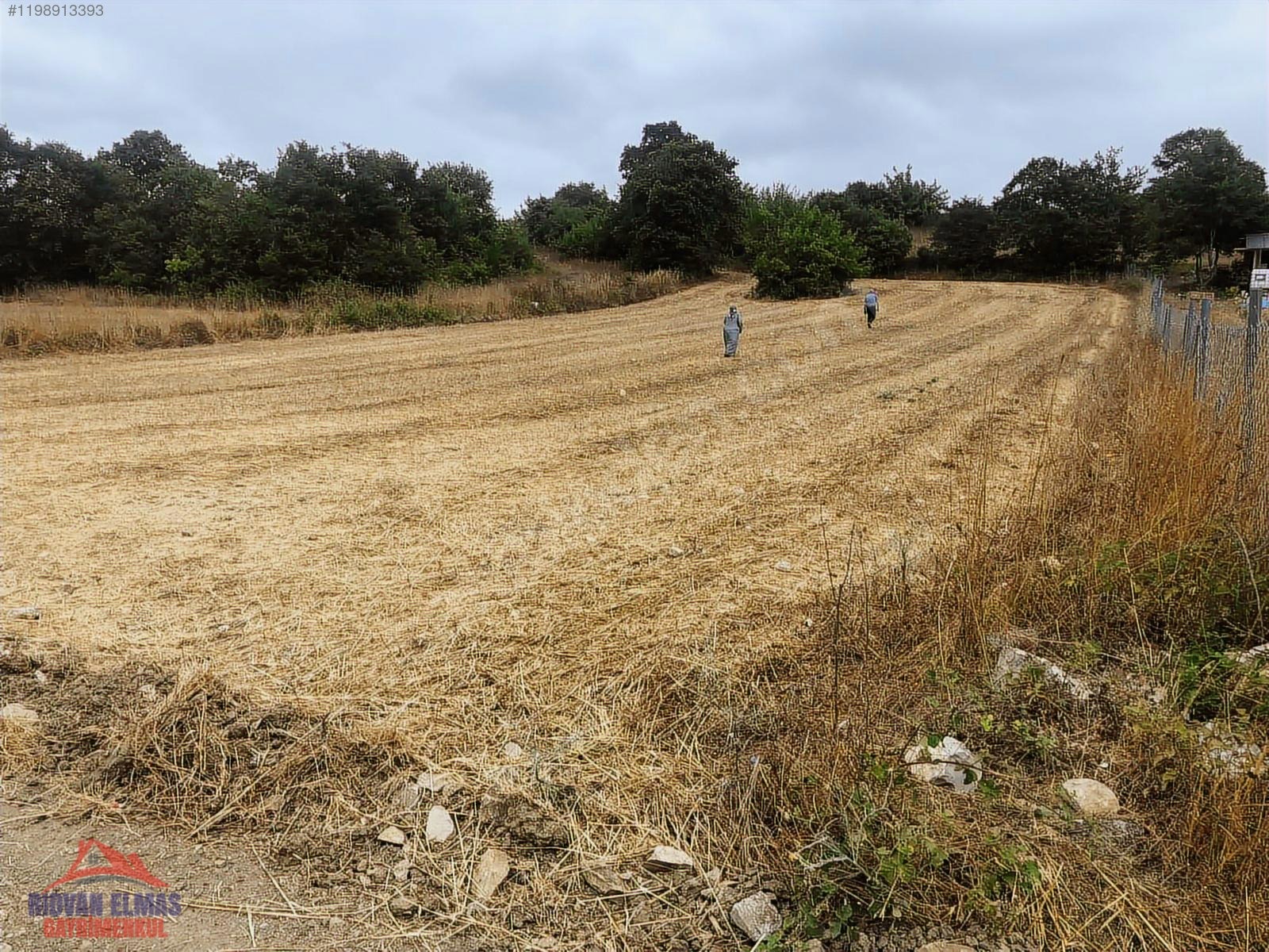 Kandıra Sarnıçlar köyünde doğa içinde satılık arazi - KOCAELİ KANDIRA fotoğraf 12