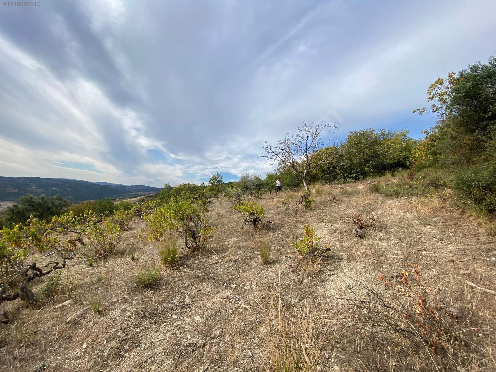 BURSA İZNİK TACİR MAHALLESİ'NDE 3.400 M² TARLAMIZ SATILIKTIR - BURSA İZNİK fotoğraf 19