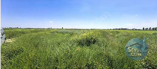 KONYA KADINHANI ATLANTI DA 1.100 M² TARLAMIZ SATILIKTIR - KONYA KADINHANI fotoğraf 3