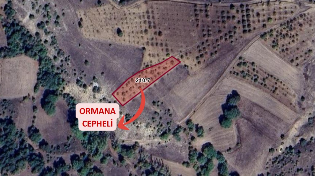 BİLECİK YENİPAZAR CAFERLER KÖYÜNDE 1.576 M² TARLA SATILIKTIR - BİLECİK YENİPAZAR fotoğraf 3
