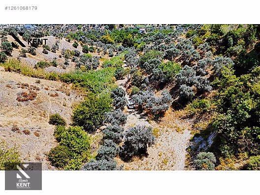 Kemalpaşa Yukarıkızılca Satılık 950 m2 Bahçe Tek Tapu - İZMİR KEMALPAŞA fotoğraf 36