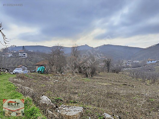 Kocaali Kirazlı'da 4.286m² Fındık Bahçesi ve 780m² İmarlı Arsa - SAKARYA KOCAALİ fotoğraf 2
