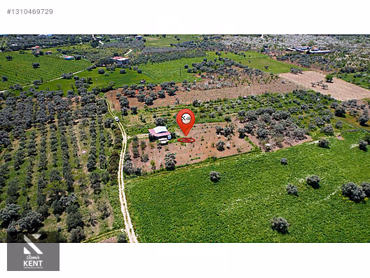 Kemalpaşa Halilbeylide Satılık 3000 m2 Bahçe 40 m2 Ev - İZMİR KEMALPAŞA fotoğraf 9