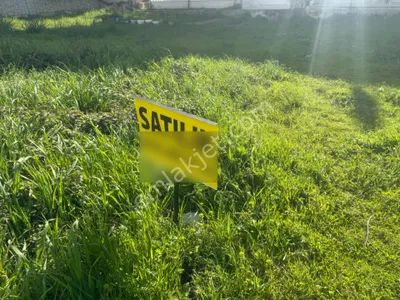 Didim Akyeniköy Balova Mevkiinde Yatırımlık Arsa - AYDIN DİDİM fotoğraf 11