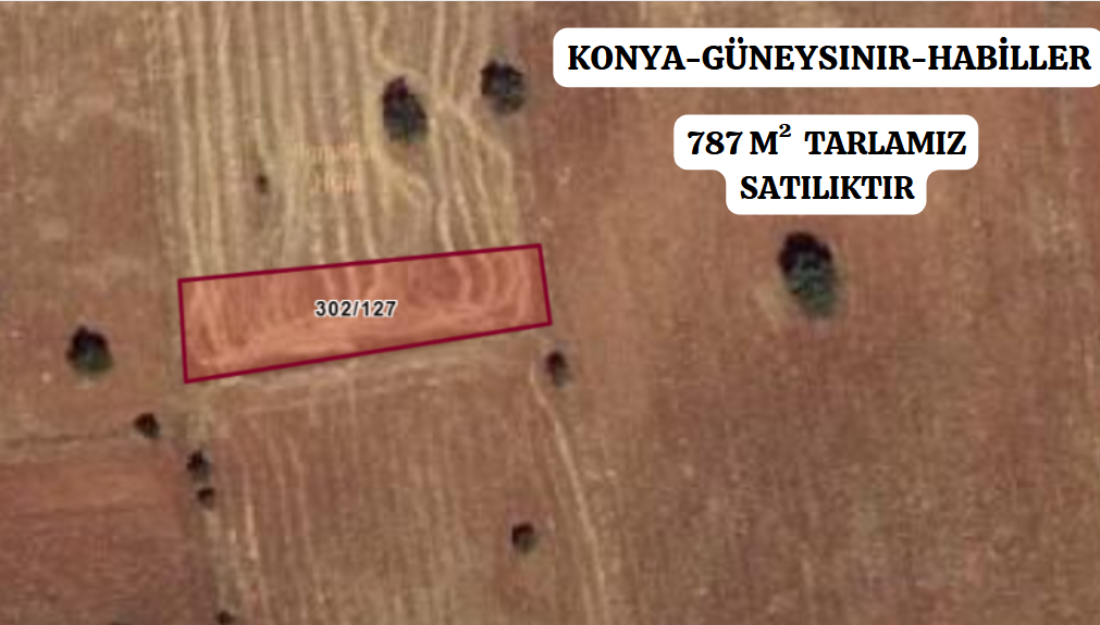 KONYA GÜNEYSINIR HABİLLER KÖYÜNDE 787 M² TARLA SATILIKTIR. - KONYA GÜNEYSINIR fotoğraf 2