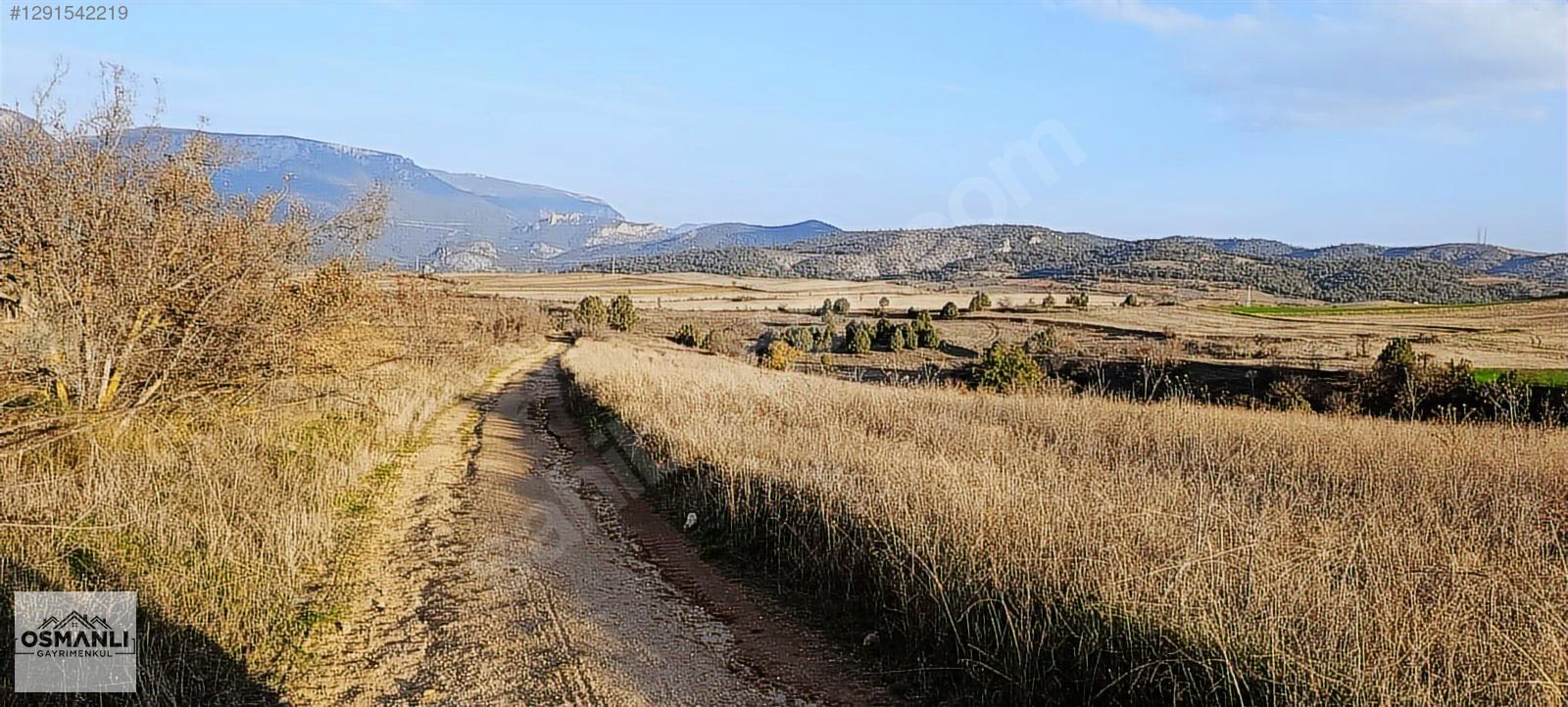 7.480 M2, RESMİ YOLA CEPHELİ, MANZARALI, %5 İMARLI SATILIK ARAZİ - BİLECİK SÖĞÜT fotoğraf 11