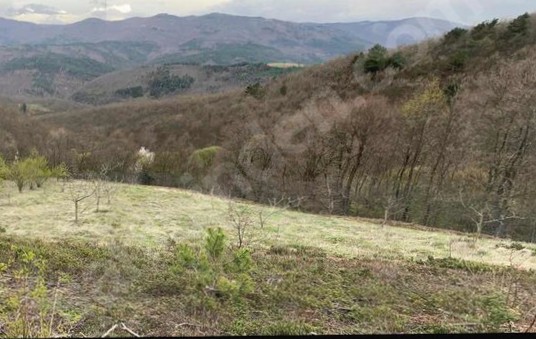 BURSA İZNİK CANDARLI MH.'DE  4.613 M² BAHÇEMİZ SATILIKTIR - BURSA İZNİK fotoğraf 5