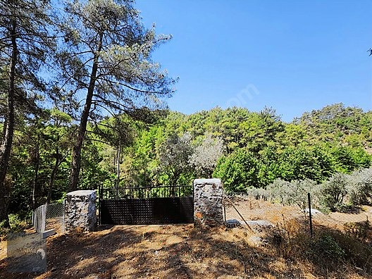 AHIRTAŞ'TA ORMANA SIFIR 4.065 m² TEK TAPU TARLA VE AHŞAP EV İLE - ANTALYA DÖŞEMEALTI fotoğraf 4