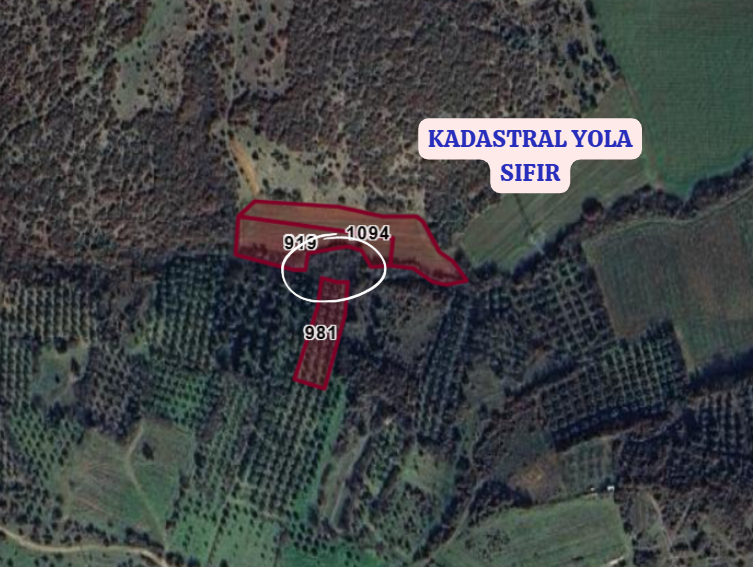 BURSA KARACABEY KARASU  KÖYÜNDE 1.300 M² ZEYTİNLİK  SATILIKTIR - BURSA KARACABEY fotoğraf 3