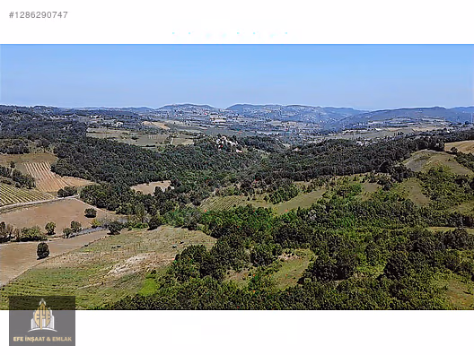 ALTINOVA ÖRENCİKTE 6982 M2 YOLA 66 M YATIRIMA UYGUN MÜSTAKİL - YALOVA ALTINOVA fotoğraf 48