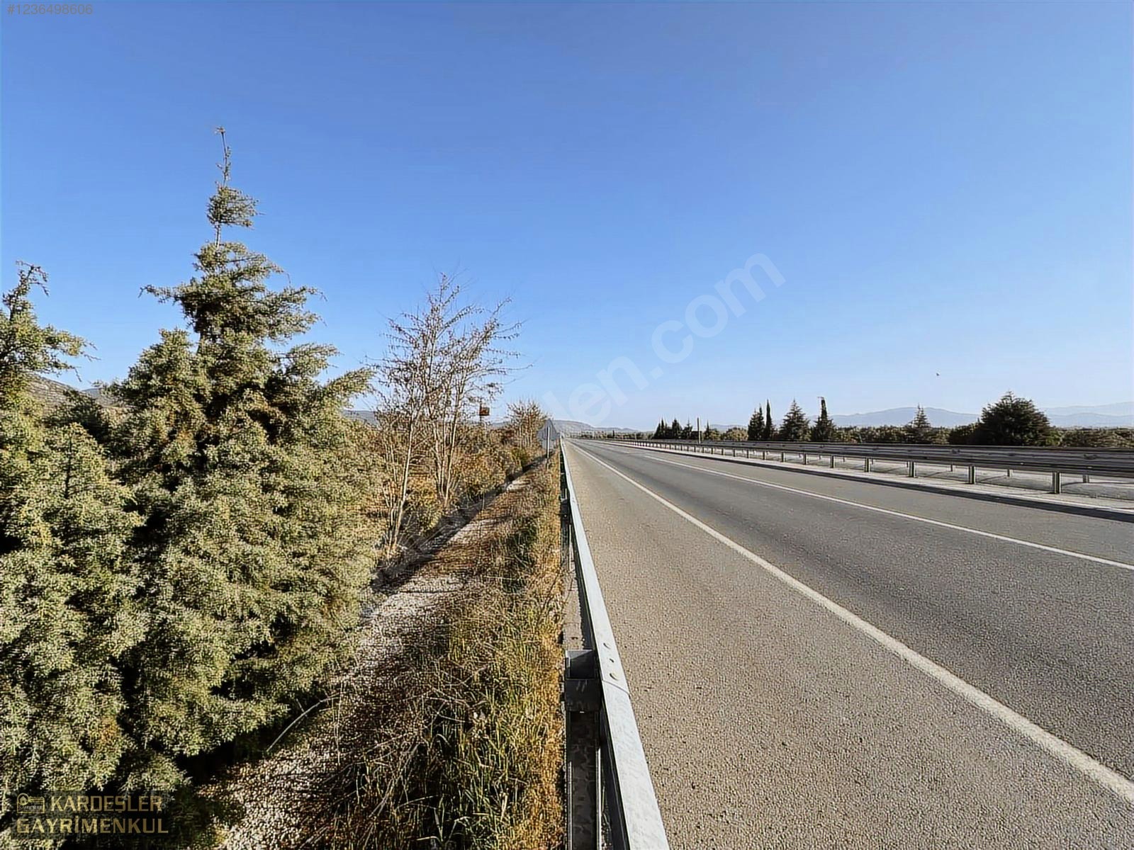 SATILIK GÖLMARMARA SALİHLİ YOLU ÜZERİNDE ASFALT ÜSTÜ ZEYTİNLİK - MANİSA AKHİSAR fotoğraf 5