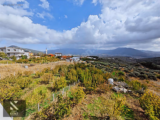 Kemalpaşa Vişneli Satılık 2920 m2 Dubleks Konut Ve Arsa - İZMİR KEMALPAŞA fotoğraf 46