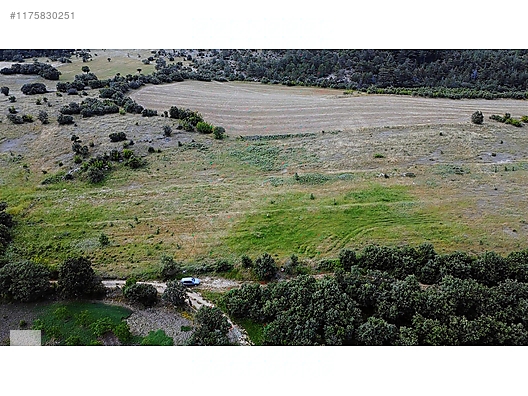 ÇANAKKALE BAYRAMİÇ MURATLAR KÖYÜ 45.000 m2 TARLA - ÇANAKKALE BAYRAMİÇ fotoğraf 9