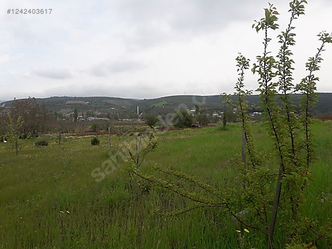 BURSA KARACABEY YEŞİLDERE KÖYÜNDE 2.950 M² TARLA SATILIKTIR - BURSA KARACABEY fotoğraf 3