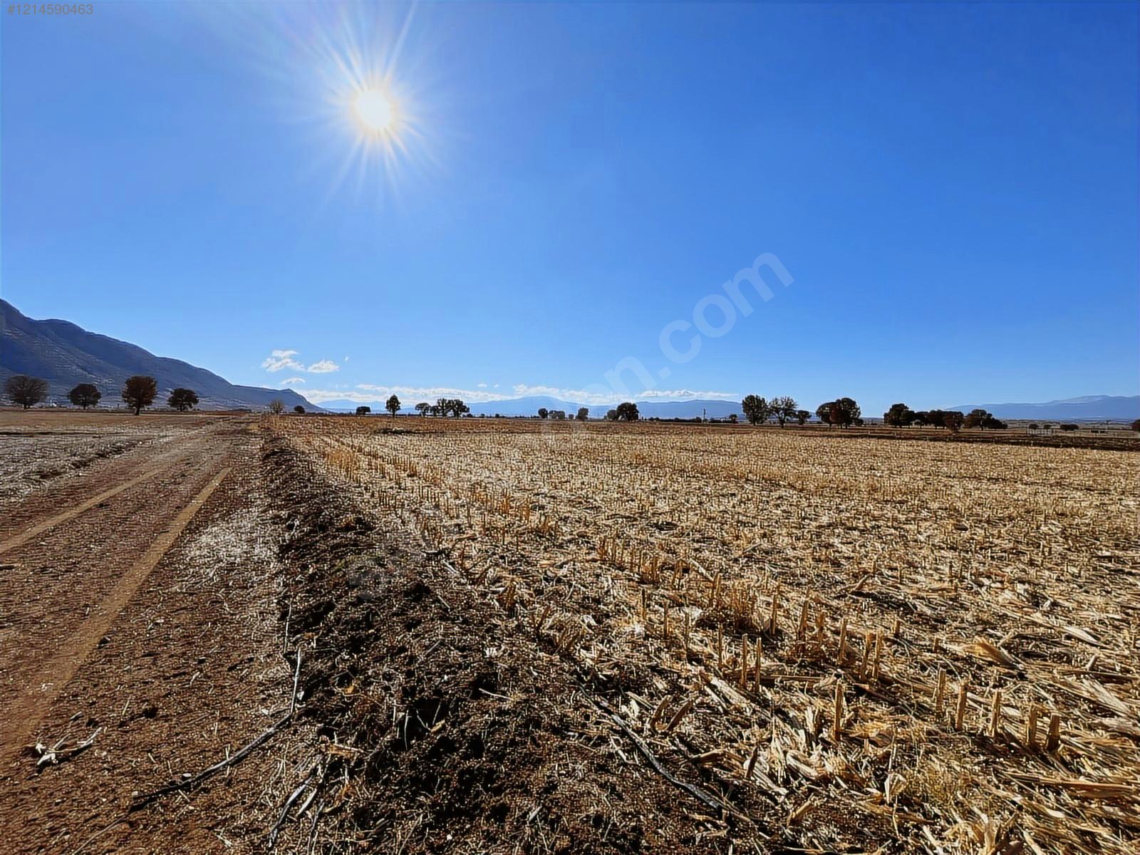 DENİZLİ ACIPAYAM YUMRUTAŞ  MAHALLESİ  1.598  M²  TARLA  SATILIKTIR - DENİZLİ ACIPAYAM fotoğraf 12