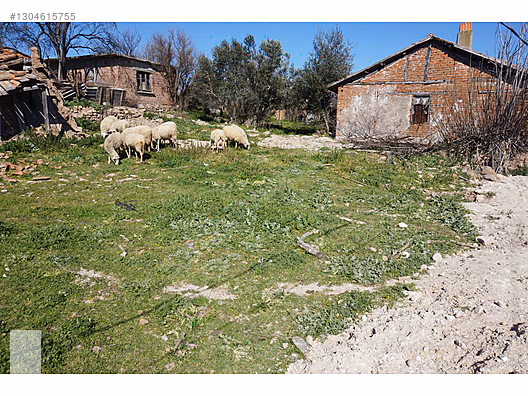 ÇANAKKALE BAYRAMİÇ YİĞİTLER KÖYÜ 249 m2 İMARLI ARSA - ÇANAKKALE BAYRAMİÇ fotoğraf 7
