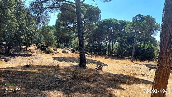 BERGAMA KOZAK YAYLASI YUKARIBEY MAH DE 6800 M2 FISTIKLIK - İZMİR BERGAMA fotoğraf 4