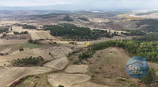 Kütahya Gediz Samralar'da Uygun fiyatlı - KÜTAHYA GEDİZ fotoğraf 7