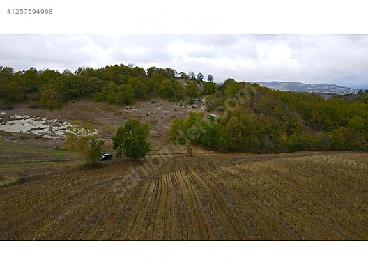KOCAELİ İZMİT BULDUK  KÖYÜNDE 985 M²  TARLA  SATILIKTIR - KOCAELİ İZMİT fotoğraf 10