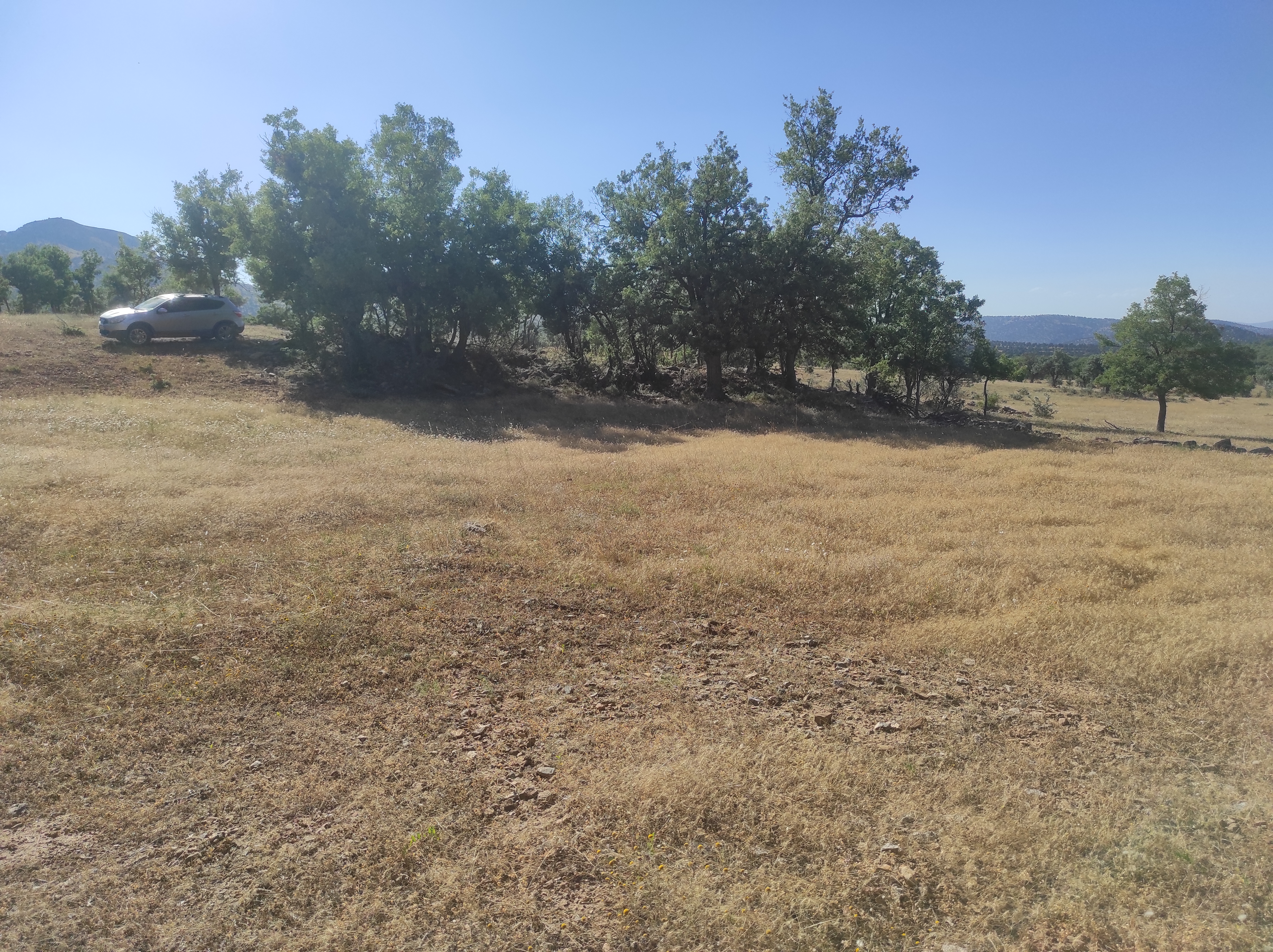 KONYA BOZKIR HACILAR  KÖYÜ’NDE 477 M² TARLA SATILIKTIR  - KONYA BOZKIR fotoğraf 8