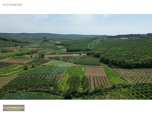 YATIRIM FIRSATI 3.962 M² TARLA FERİZLİ SARIAHMETLER MAH. - SAKARYA FERİZLİ fotoğraf 9