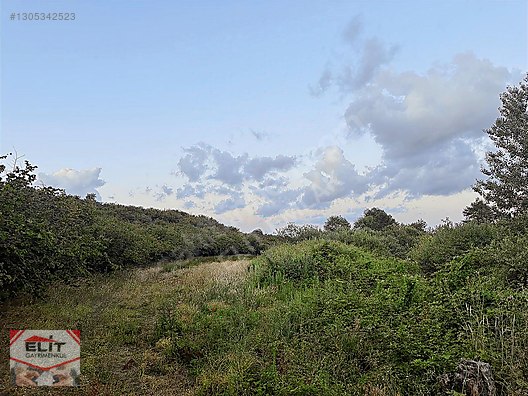 SAKARYA KARASUDA SATILIK 4400 M² PARSEL YOL SU ELEKTRİK - SAKARYA KARASU fotoğraf 8
