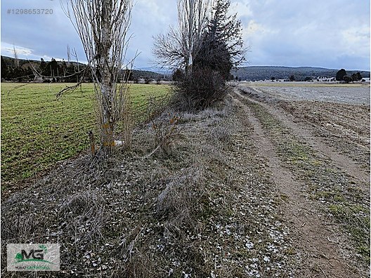 KÜTAHYA ALTINTAŞ PINARCIK KÖYÜ KELEPİR ARSA TARLA ARAZİ - KÜTAHYA ALTINTAŞ fotoğraf 10