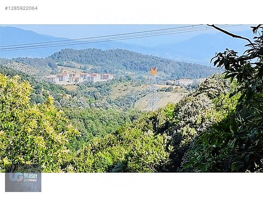 4,5 DÖNÜM FINDIK TARLASI - BARTIN MERKEZ fotoğraf 11