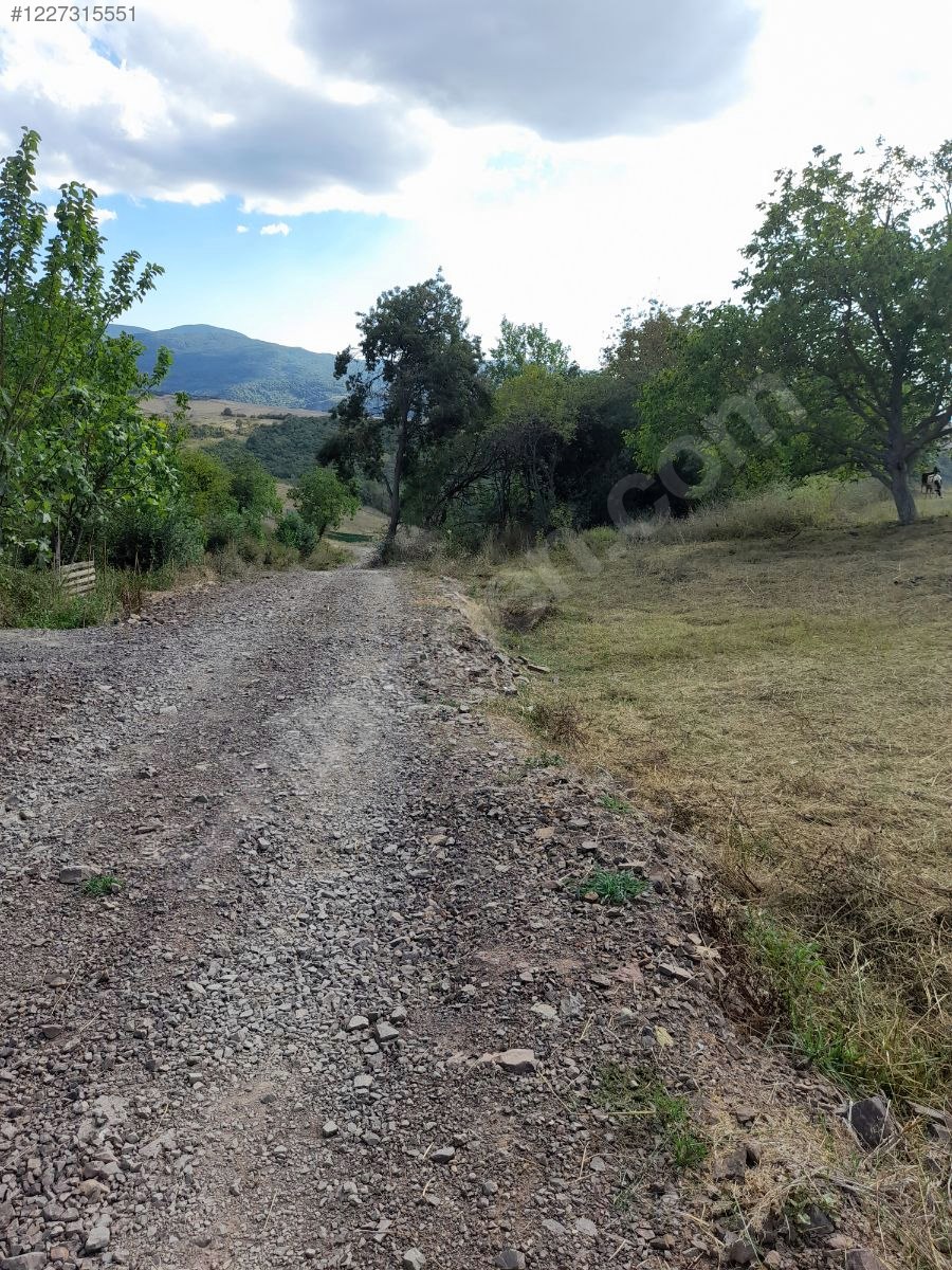 YALOVA ÇİFTLİKKÖY  DENİZÇALI’NDE 1.798 M²  TARLA SATILIKTIR - YALOVA ÇİFTLİKKÖY fotoğraf 3