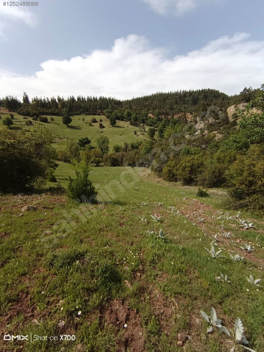 Antalya Konyaaltı Doyran Yayla 1.200 m² Tek Tapu Konyaalti Sahile 30 dk - ANTALYA KONYAALTI fotoğraf 16