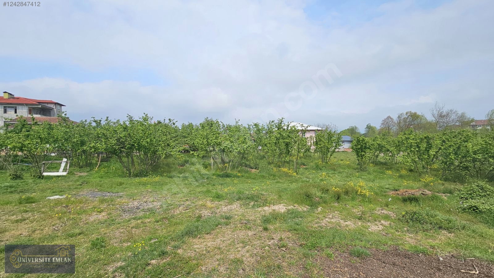 DÜZCE CUMAYERİ ÇEVRİK SATILIK FIRSAT ARSA 635M2 KONUT İMARLI - DÜZCE CUMAYERİ fotoğraf 6