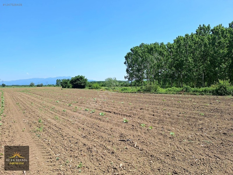 ERENLER KAMIŞLI MAHALLESİNDE SATILIK 3.370 M2 TARLA - SAKARYA ERENLER fotoğraf 6
