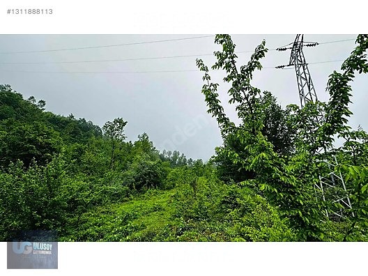 14 DÖNÜM TEK TAPU - BARTIN MERKEZ fotoğraf 14