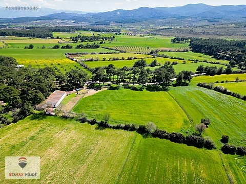 Çanakkale Bayramiç Kutluoba Satılık Tarla - ÇANAKKALE BAYRAMİÇ fotoğraf 12