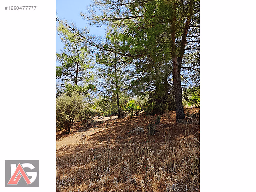 ANTALYA ADRASAN DA 715 M2 MÜSTAKİL TAPULU ARAZİ SATILIK - ANTALYA KUMLUCA fotoğraf 13