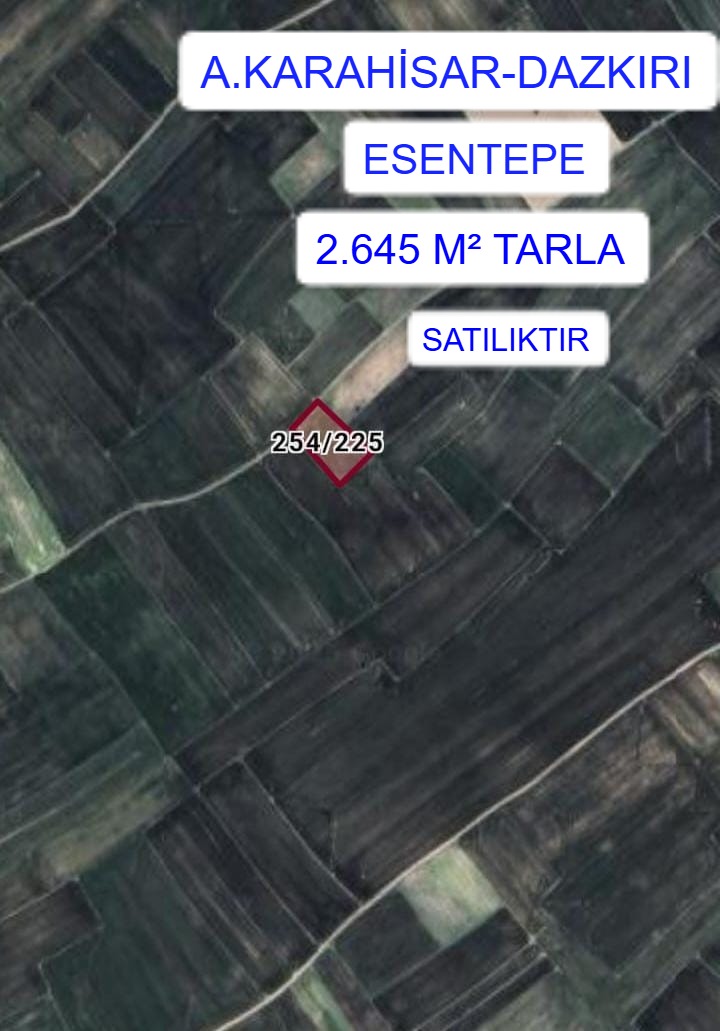 A.KARAHİSAR DAZKIRI ESENTEPE MAH. 2.645M² TARLA SATILIK - AFYONKARAHİSAR DAZKIRI fotoğraf 2
