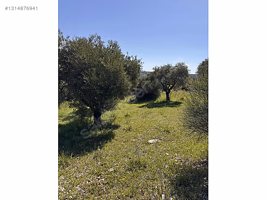 ŞENKÖY MERKEZDE 2893m2 İMARLI ARSA - HATAY YAYLADAĞI fotoğraf 13