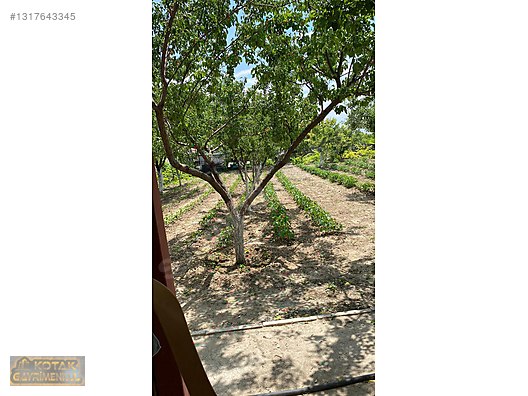 TOPAKKAYA MEDENİ BÖLGESİNDE HAZIR KURULU 700 M2 BAHÇE VE ARSASI - AKSARAY MERKEZ fotoğraf 5