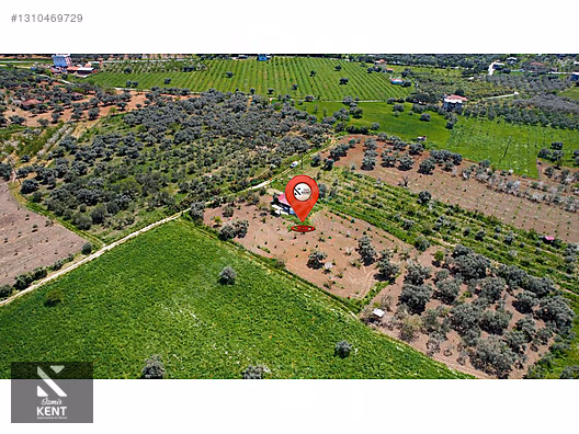Kemalpaşa Halilbeylide Satılık 3000 m2 Bahçe 40 m2 Ev - İZMİR KEMALPAŞA fotoğraf 12