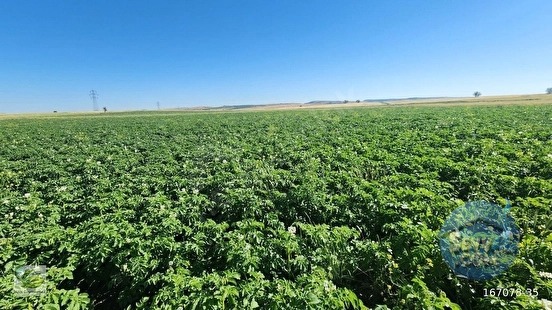 🚨 KÜTAHYA'DA ANAYOLA CEPHELİ 6.152 M² VERİMLİ TARLA 🚨 - KÜTAHYA MERKEZ fotoğraf 27
