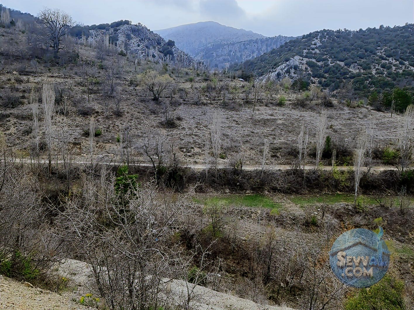 ASYA EVİM EMLAKTAN AĞLASUN YEŞİLBAŞKÖY DE SATILIK TARLA - Burdur Ağlasun fotoğraf 2